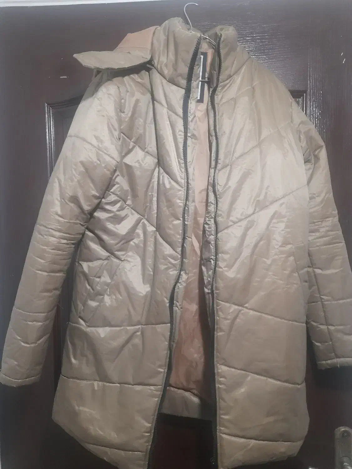 یک عدد کاپشن مردانه و یک عددهودی نونو|لباس|رشت, نظری|دیوار