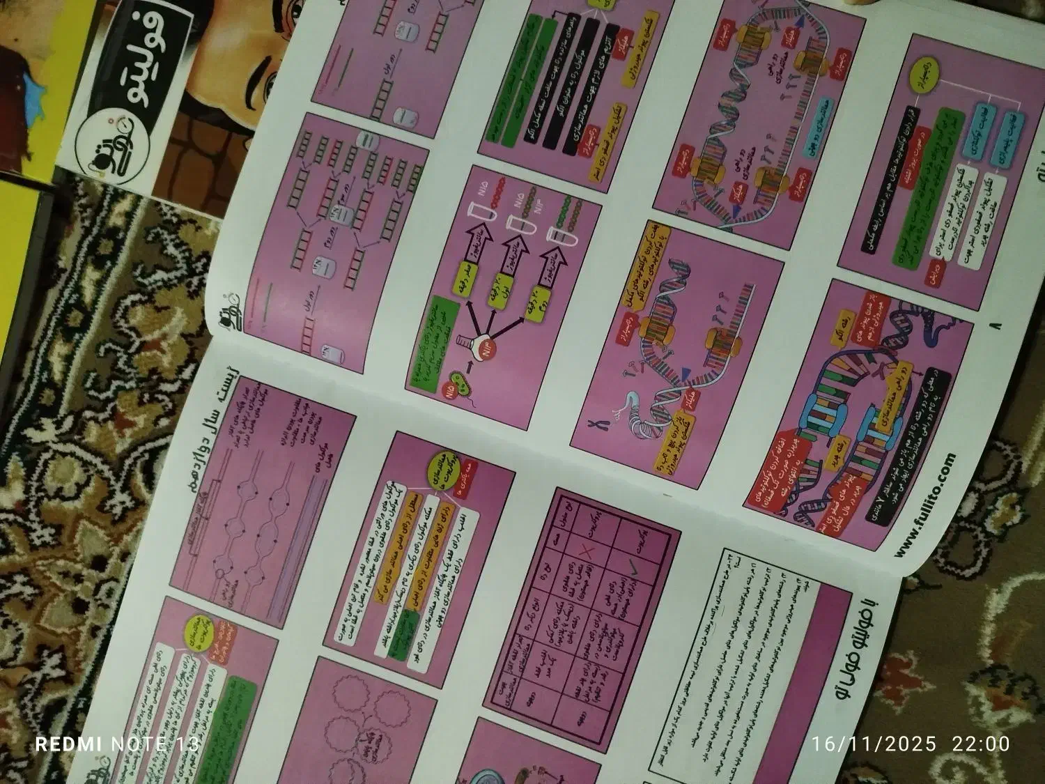 جزوه و تست یازدهم،دوازدهم|کتاب و مجله آموزشی|تایباد, |دیوار