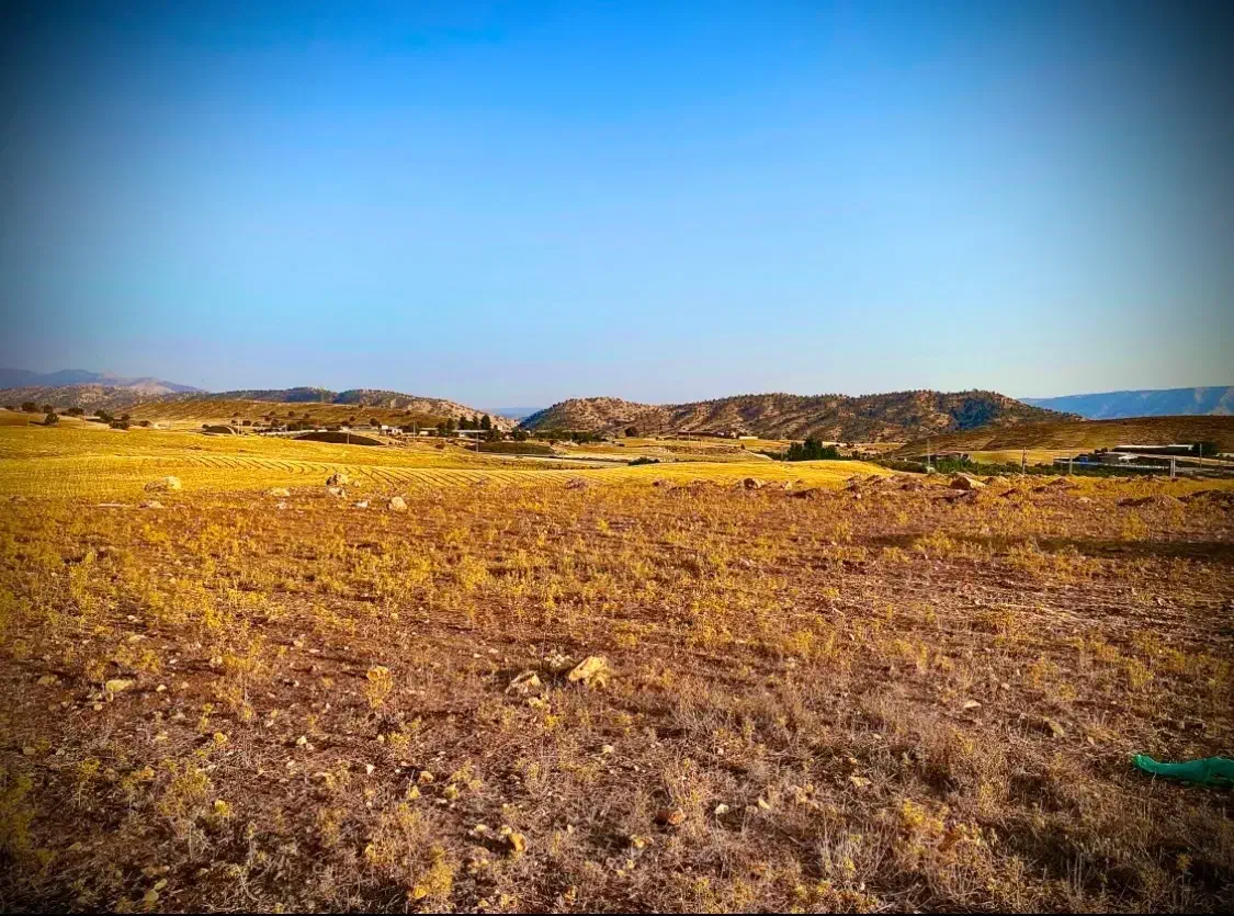 فروش زمین با کاربری کشاورزی|اجارهٔ دفتر صنعتی، کشاورزی، تجاری|ایلام, |دیوار