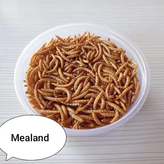 میلورم خشک ۱۰۰ گرمی|لوازم جانبی حیوانات|بابل, |دیوار