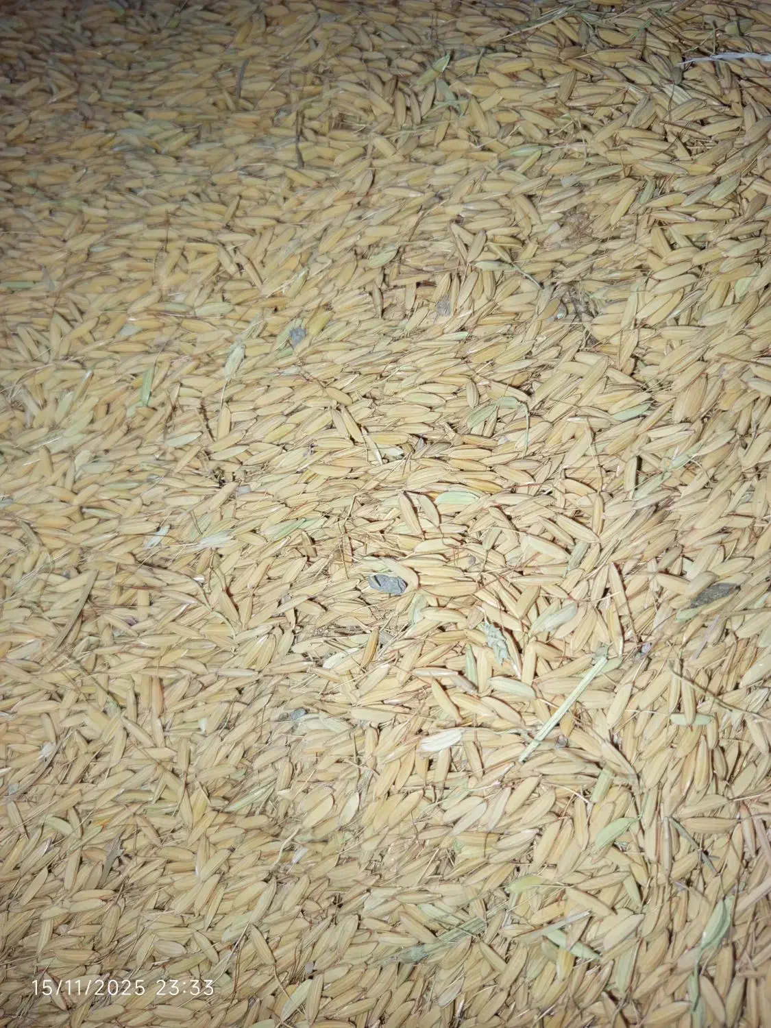 چلتوک|حراج|شیروان (لرستان), |دیوار