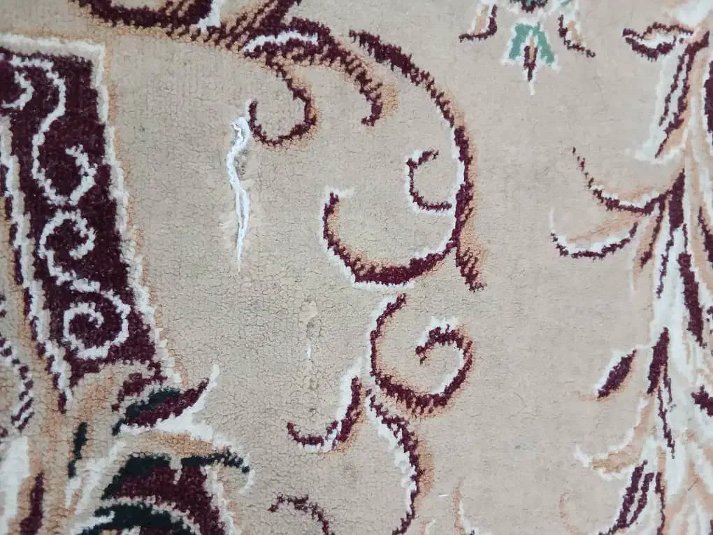 فرش ۱۲ متری|فرش|گرگان, |دیوار