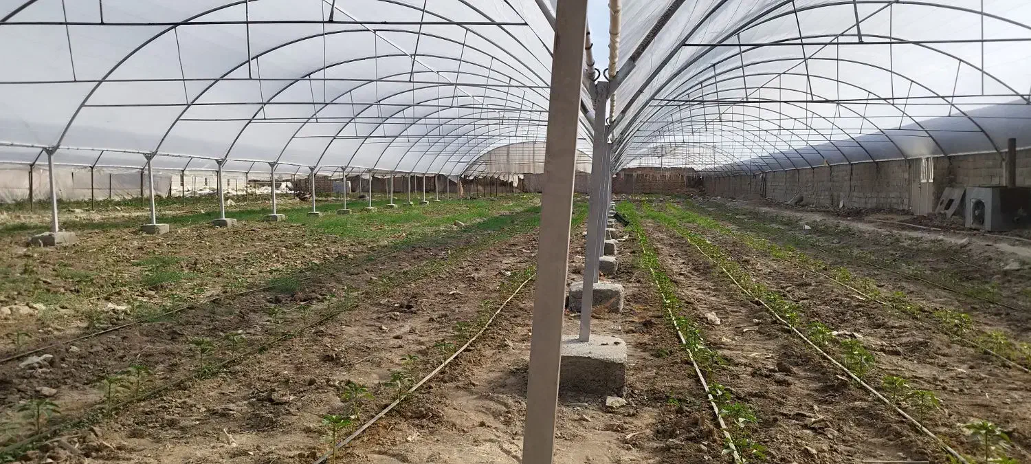 نصاب و جوشکار گلخانه|خدمات پیشه و مهارت|زابل, |دیوار