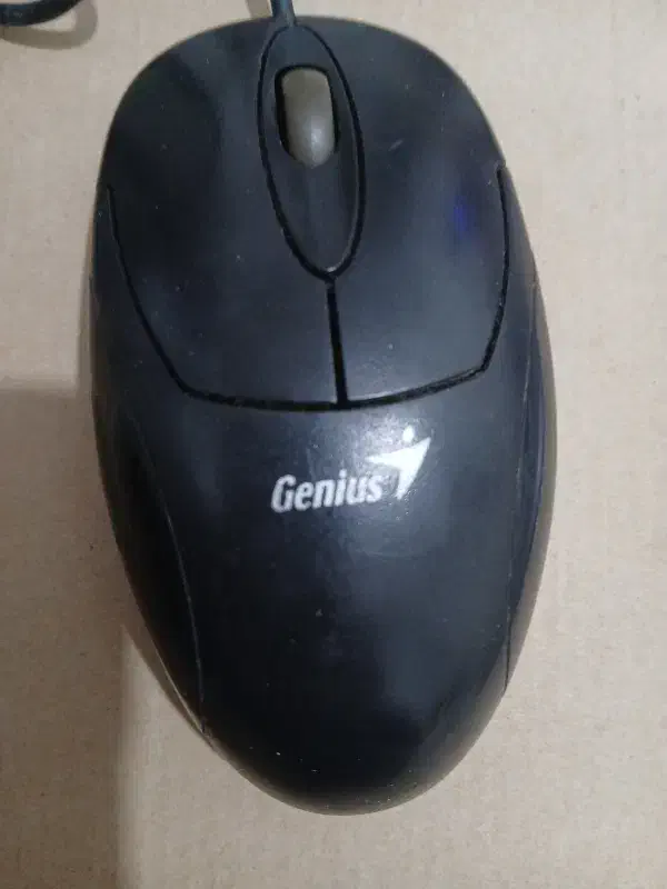 موس|قطعات و لوازم جانبی رایانه|رشت, کوی امام رضا|دیوار