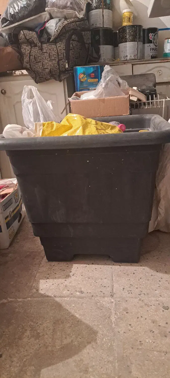 گلدان|گل و گیاه طبیعی|ساوه, |دیوار