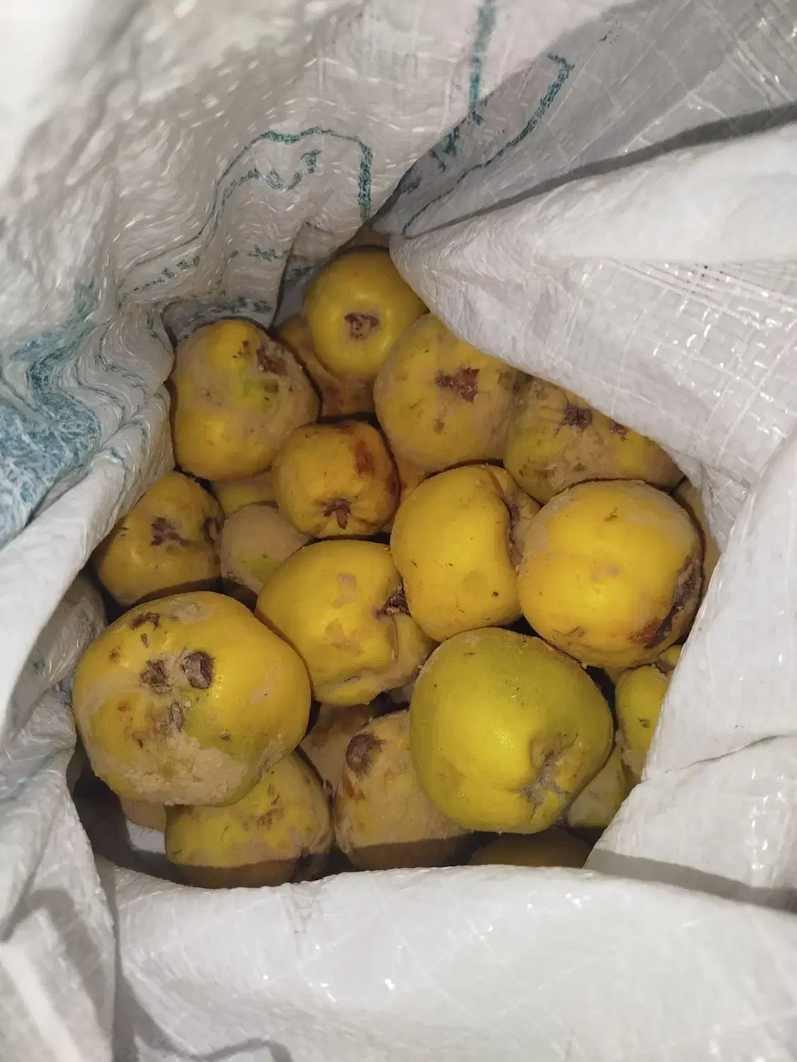 به ارگانیک|خوردنی و آشامیدنی|تربت جام, نظامی|دیوار