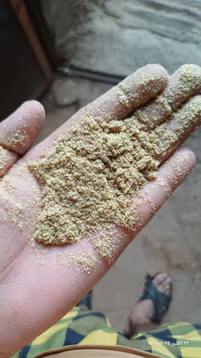 سبوس برنج مناسب دام|عمدهفروشی|شباب, |دیوار