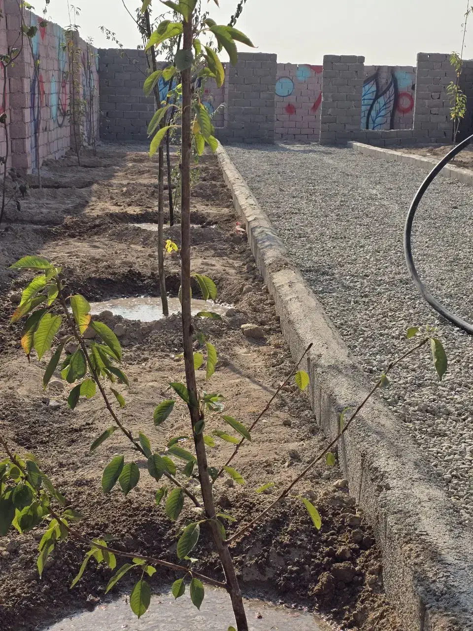 باغچه و باغ / چسب دیوارترانس برق ۱۰۰ متری بافت|فروش زمین و ملک کلنگی|شهریار, شهریار|دیوار