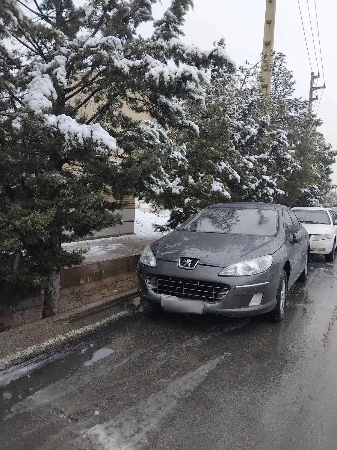 پژو ۴۰۷ اتومات مدل ۲۰۰۹ وارداتی|خودرو سواری و وانت|شیراز, شهرک گلستان شمالی|دیوار