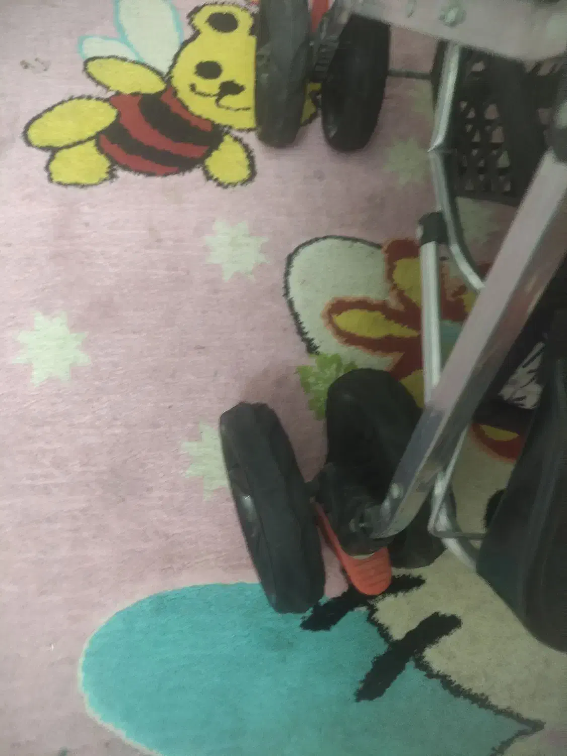 کالاسکه|کالسکه و لوازم جانبی|اصفهان, برازنده|دیوار