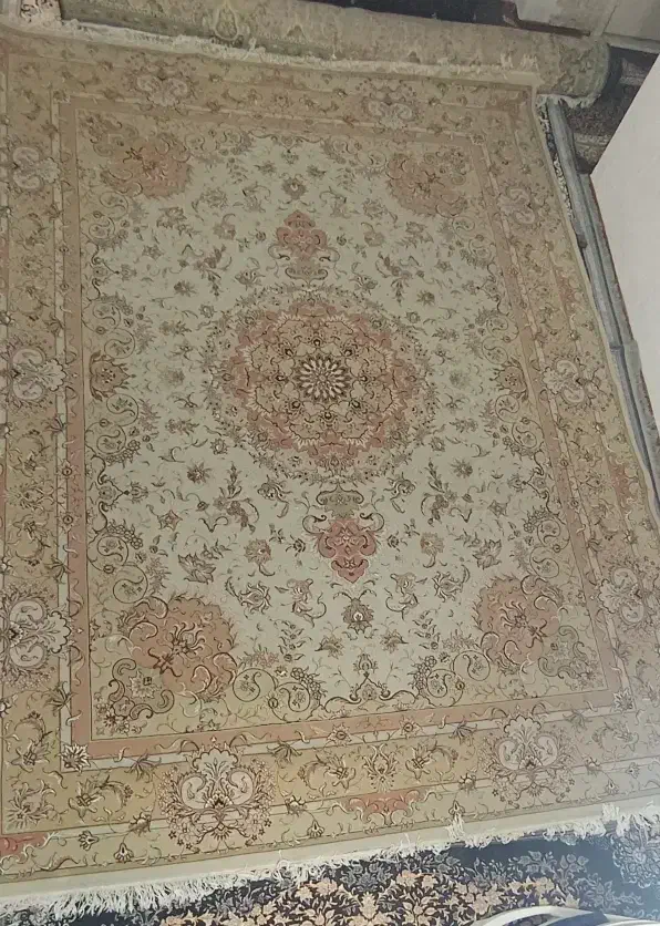 دوتا فرش 12متری|فرش|پرند, فاز ۵|دیوار