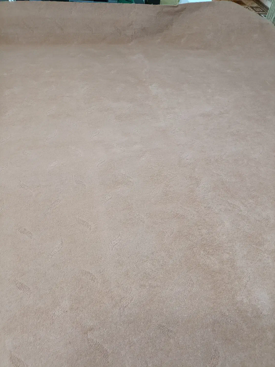 موکت|موکت|پرند, فاز ۵|دیوار