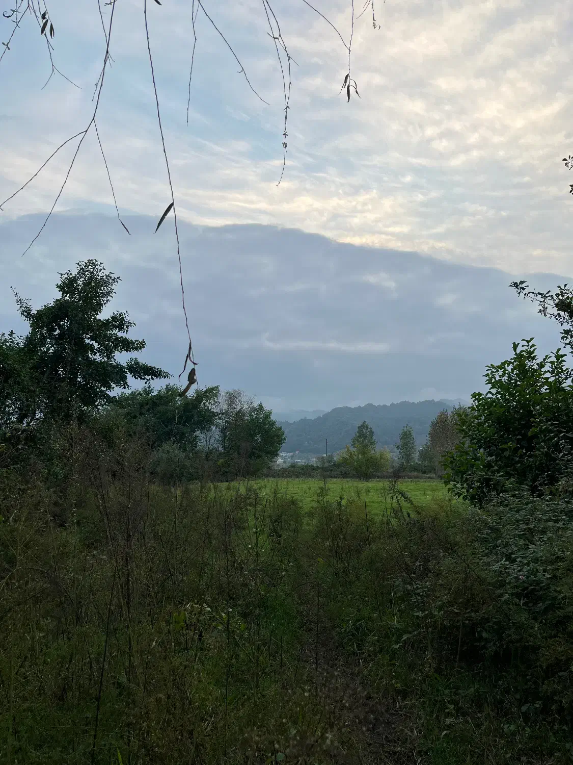 فرصتی مناسب برای سرمایه گذاری در زمین کشاورزی|فروش زمین و ملک کلنگی|لوندویل, |دیوار