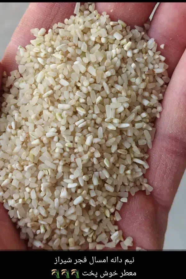 برنج نیمدانه فجر و گلالک شوشتری|عمده‌فروشی|بندر ماهشهر, |دیوار