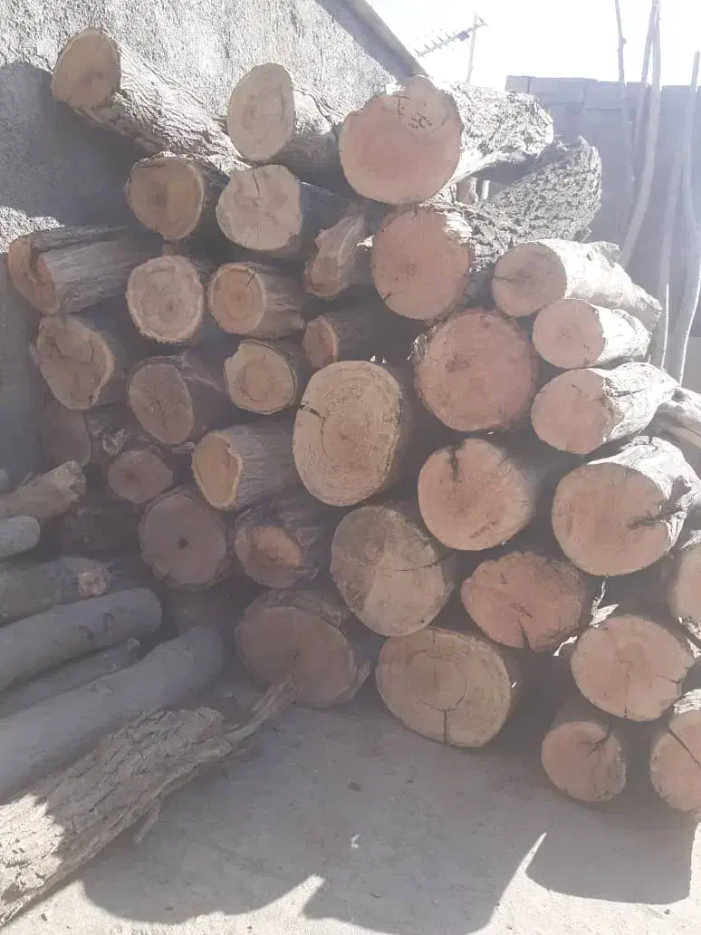 هیزم کبابی وشومینه|عمدهفروشی|بومهن, |دیوار