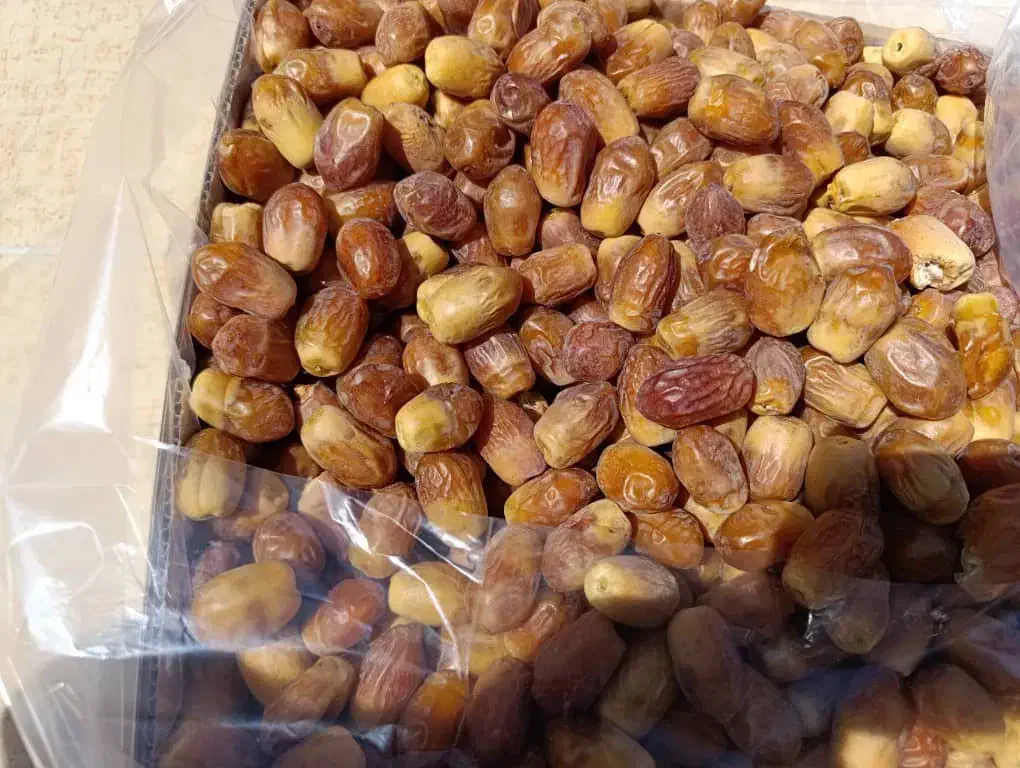 خرما ذاهدی شیرین گوشتی|خوردنی و آشامیدنی|اصفهان, جاوان|دیوار