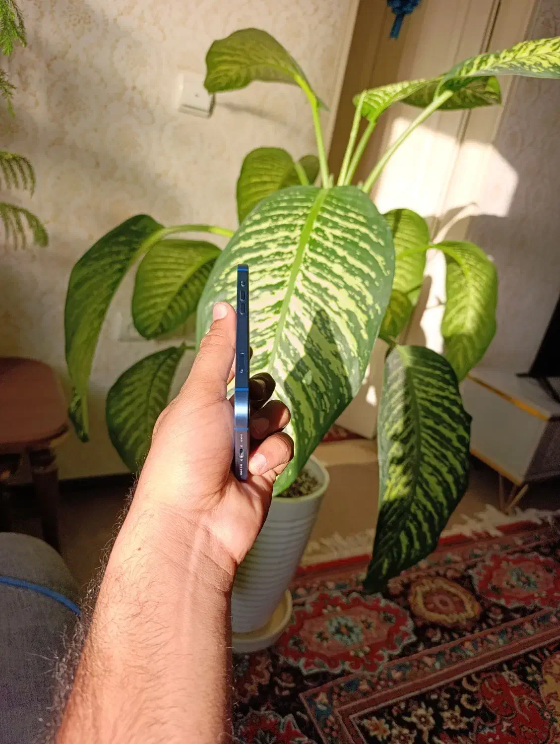 آیفون 13 نرمال zaa|موبایل|آزادشهر, |دیوار