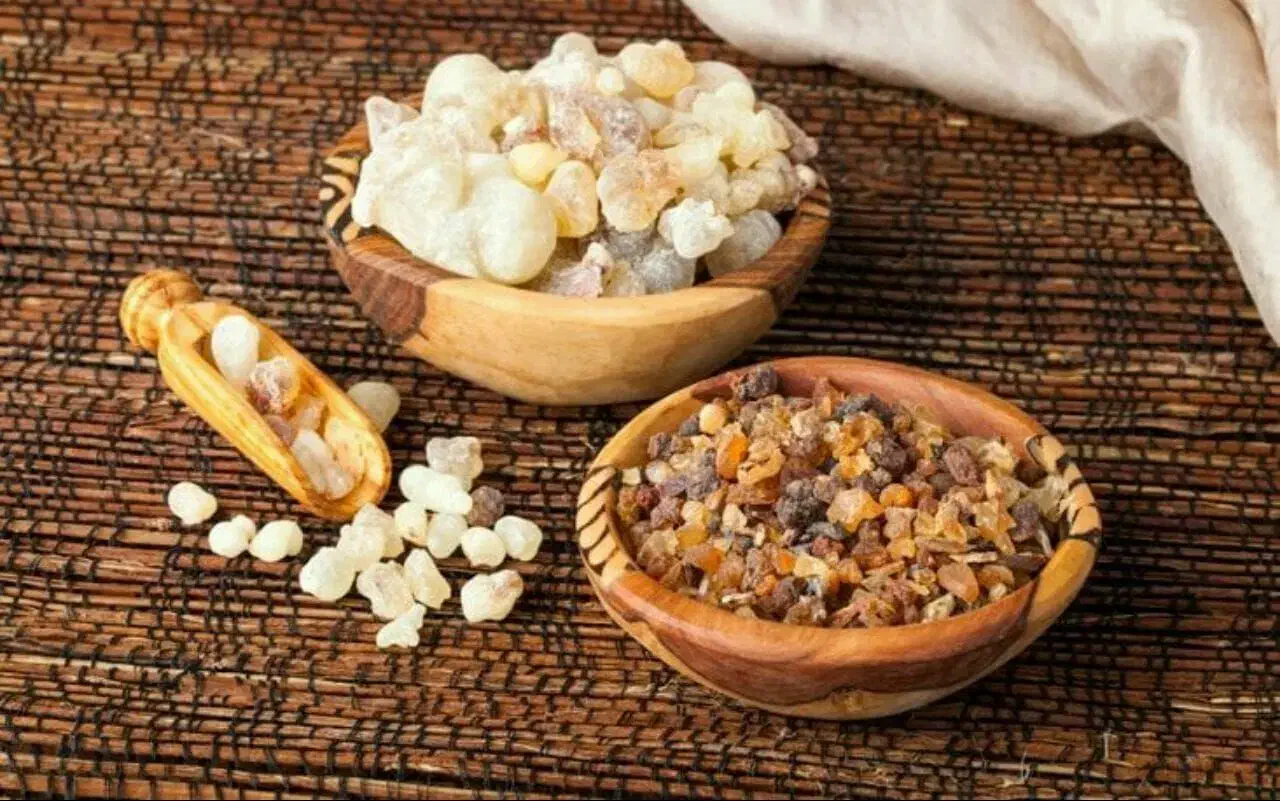 شغل آنلاین پر درآمد برای بانوان خانه دار|استخدام اداری و مدیریت|اطاقور, |دیوار