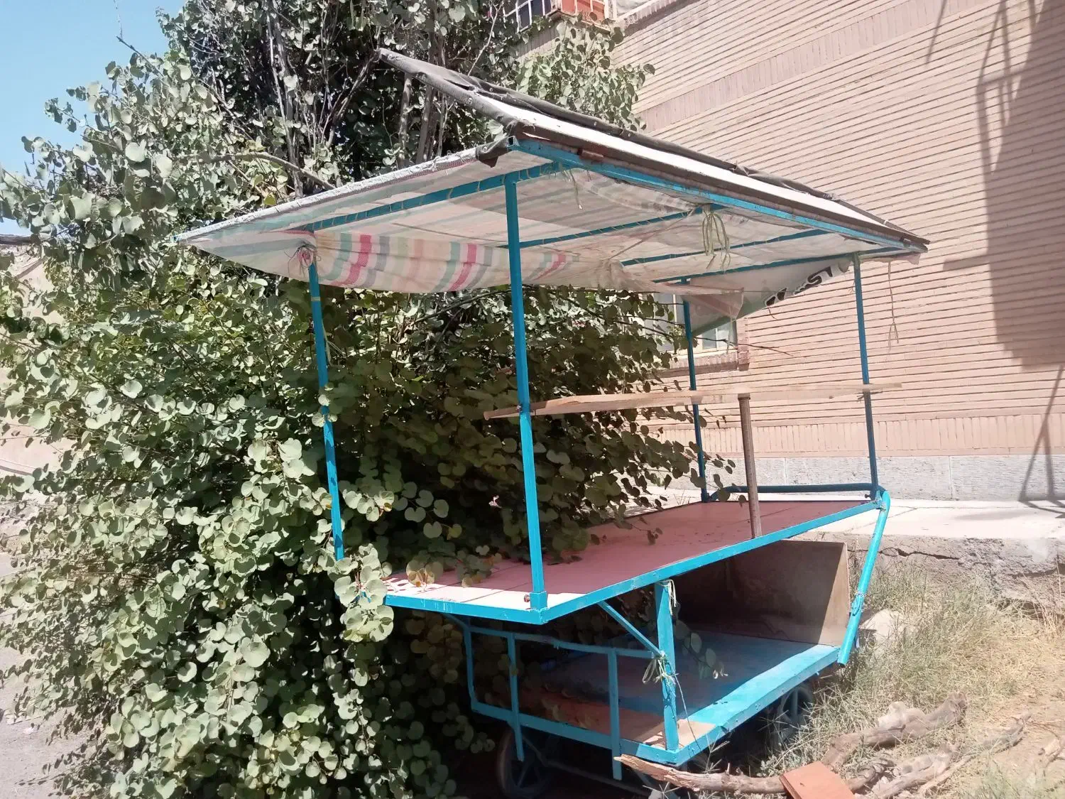 گاری|فروشگاه و مغازه|بانه, |دیوار