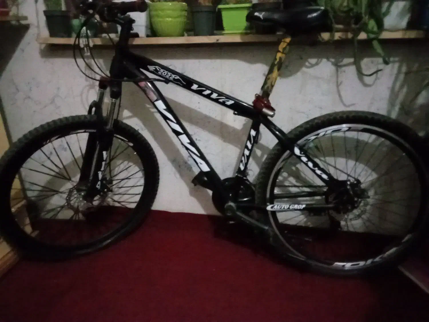 دوچرخه ۲۶مارک ویوا|دوچرخه، اسکیت، اسکوتر|همدان, |دیوار