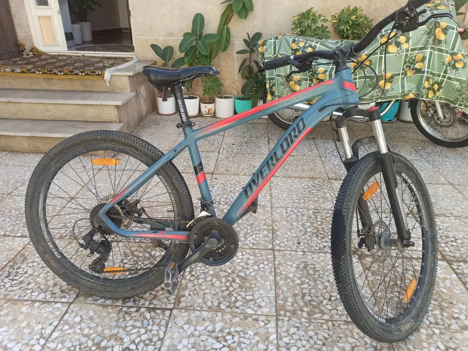 دوچرخه اورلورد|دوچرخه، اسکیت، اسکوتر|گنبد کاووس, |دیوار