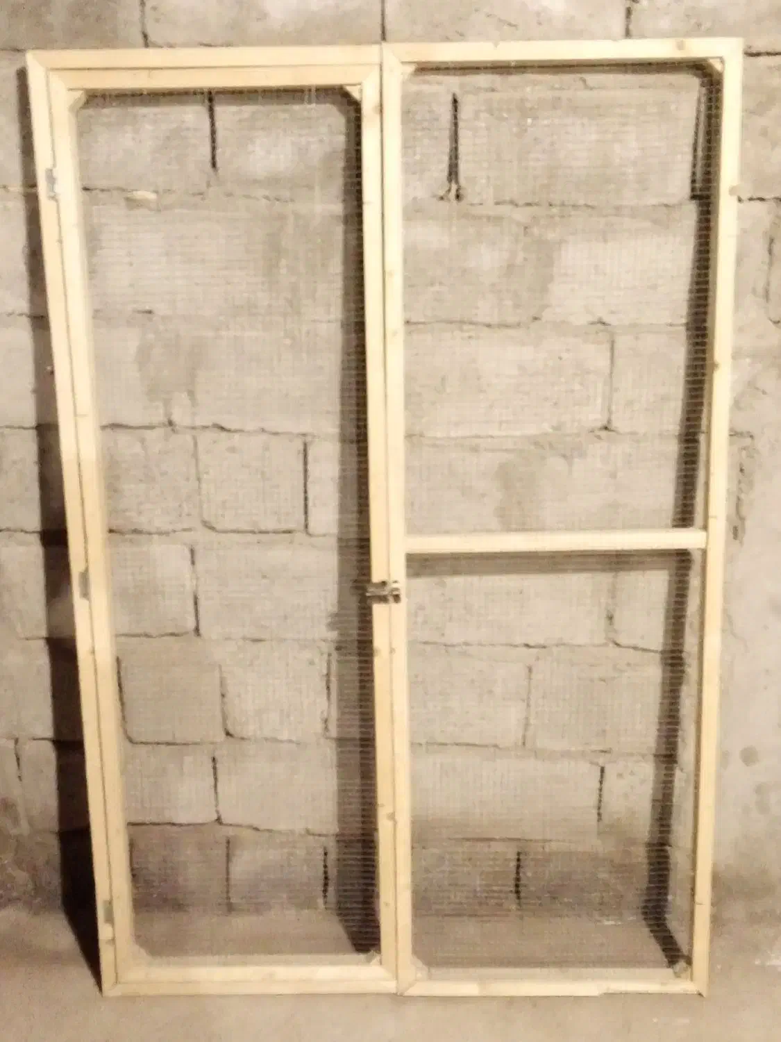 کبوتر|پرنده|فهرج, |دیوار