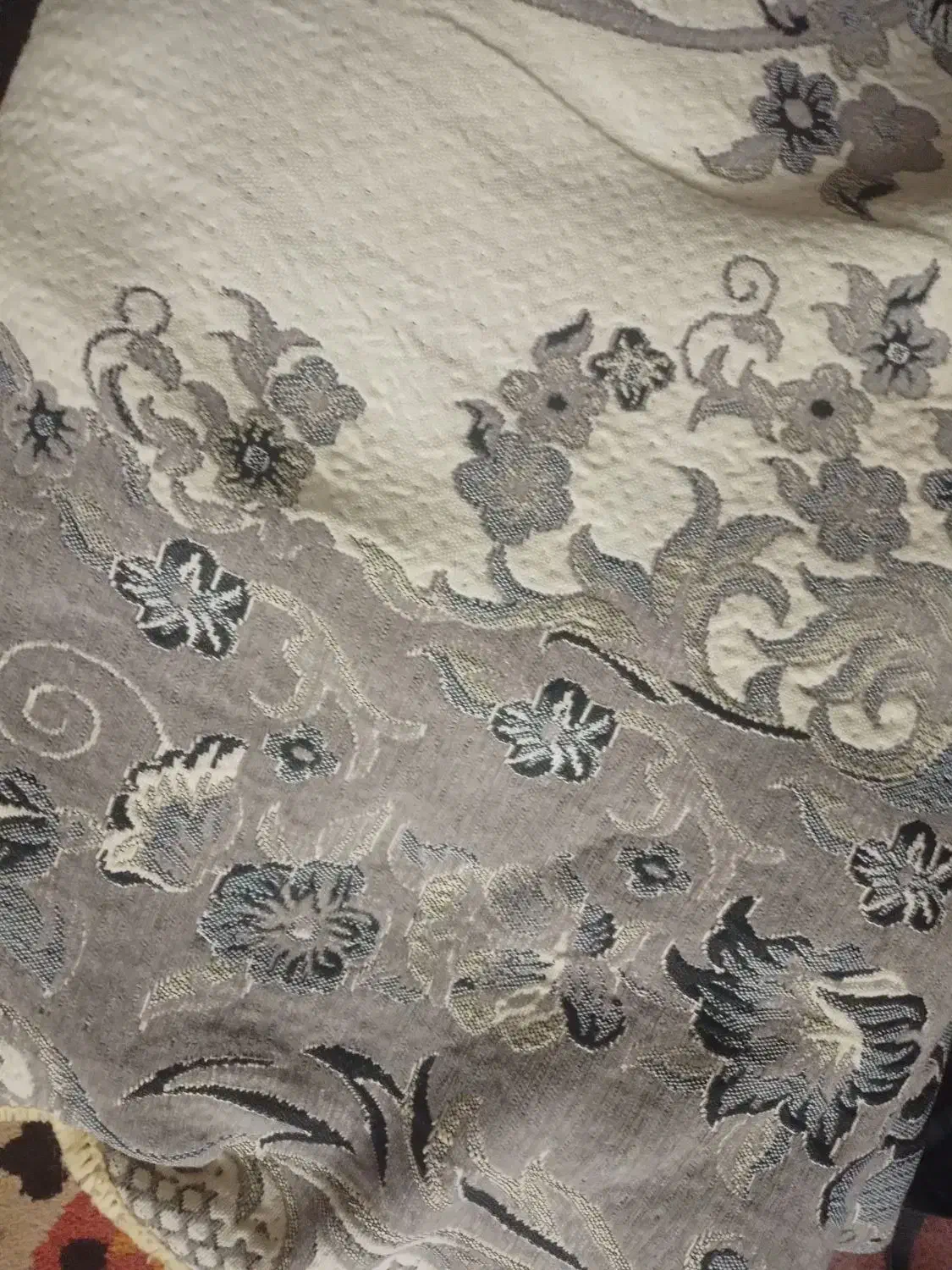 ۱۲متری|فعالیت داوطلبانه|تهران, دروازه شمیران|دیوار