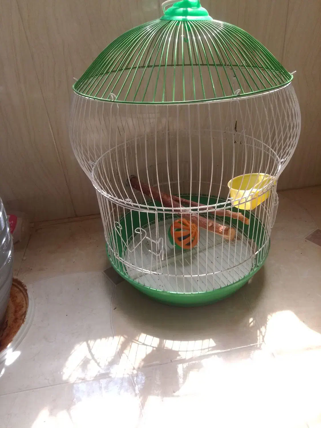 قفس پرنده|لوازم جانبی حیوانات|کاشان, فاز ۲ ناجی آباد|دیوار