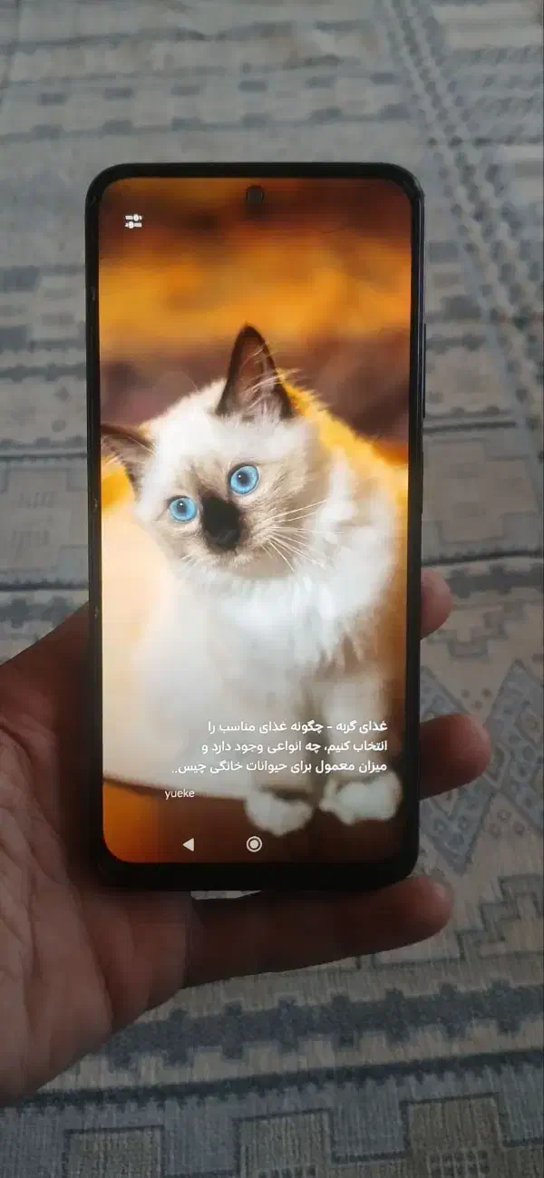 گوش شیایومی نوت 11|موبایل|تبریز, |دیوار