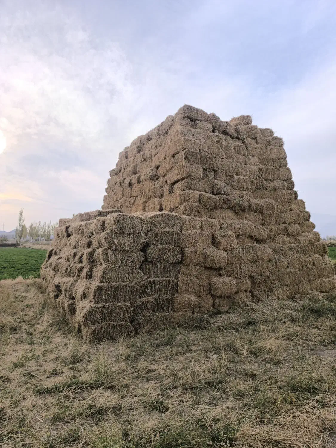 یونجه انباری|عمدهفروشی|ایواوغلی, |دیوار