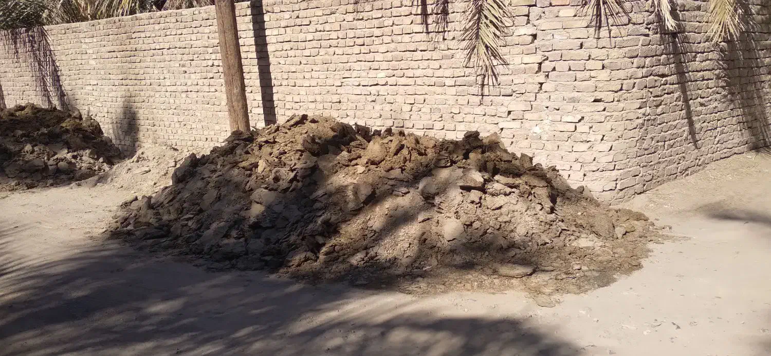 کودگاوی خالص محلی|خدمات باغبانی و درختکاری|بم, |دیوار