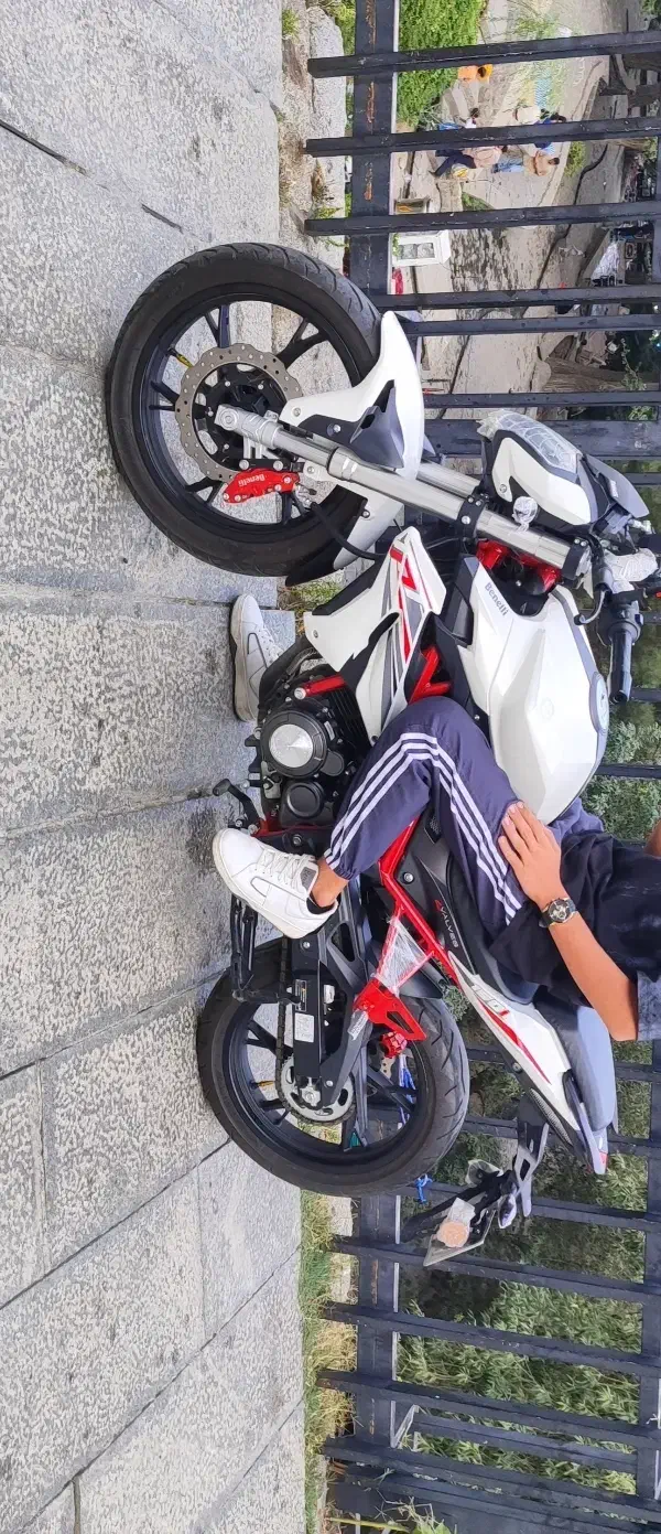 بنلی 150نیو لاکاغذ|موتورسیکلت|همدان, |دیوار