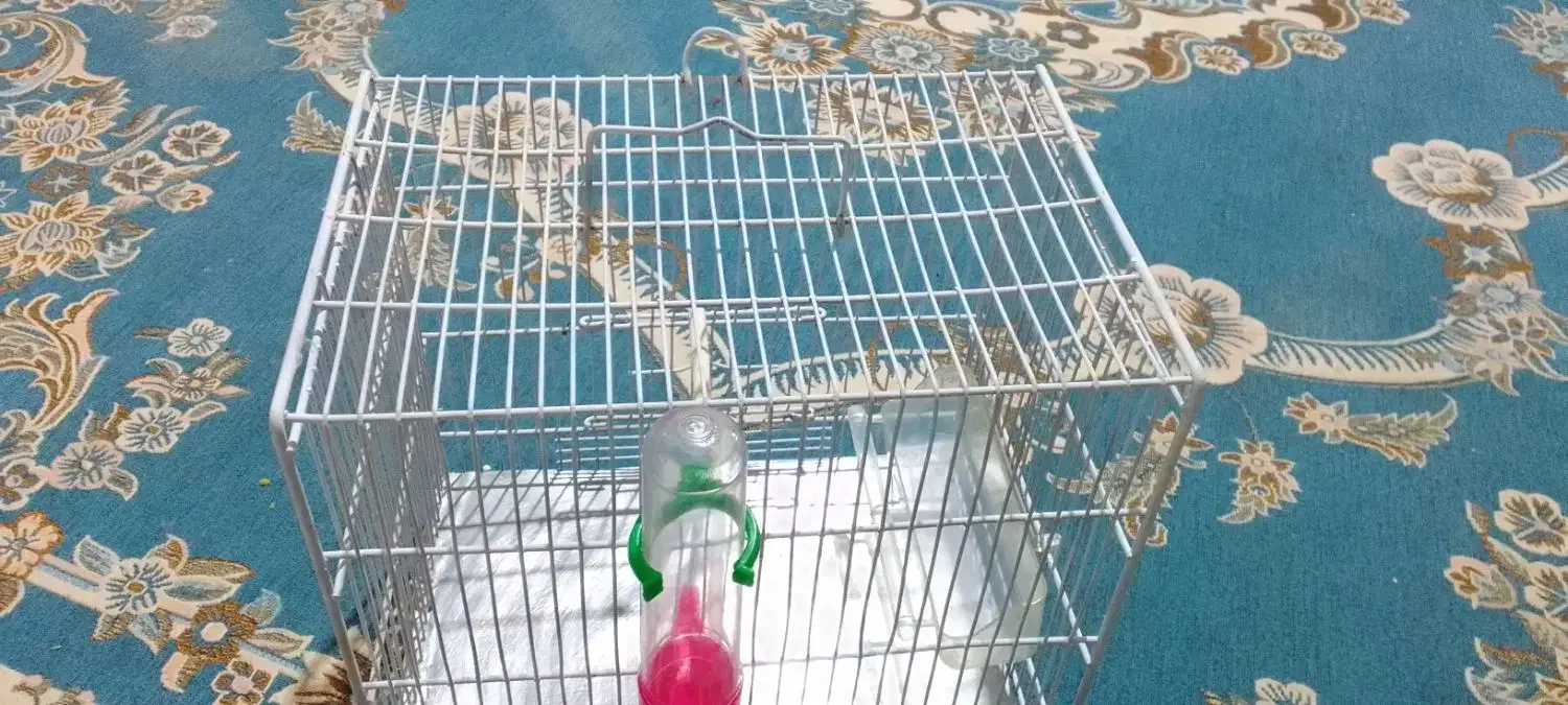 قفس غلامی|لوازم جانبی حیوانات|کوهدشت, |دیوار