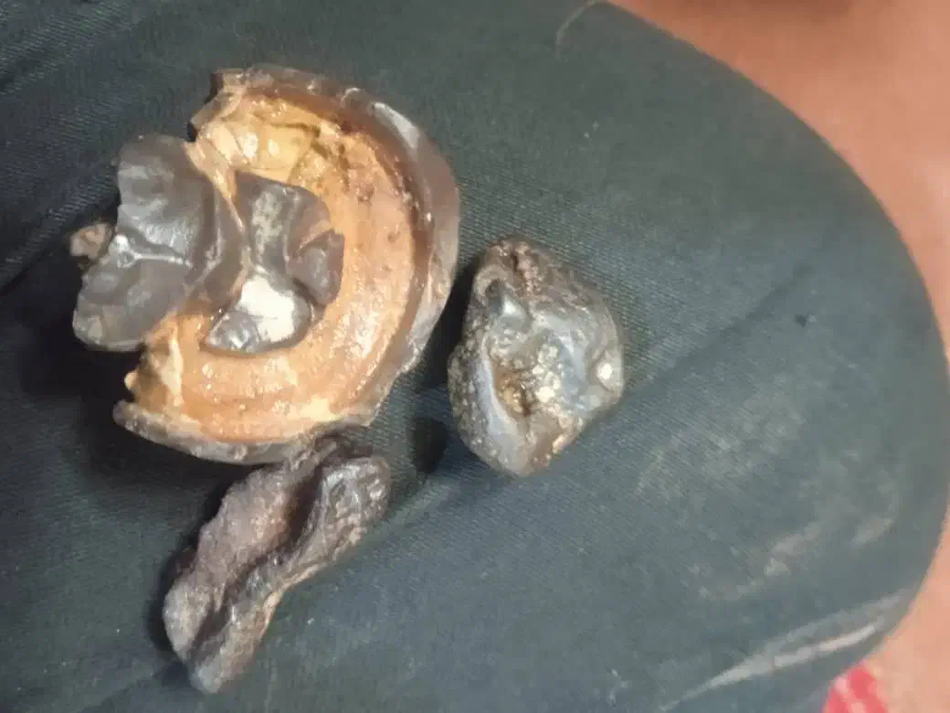 این چیه کی میدونه|کلکسیون اشیاء عتیقه|فولادشهر, A2|دیوار