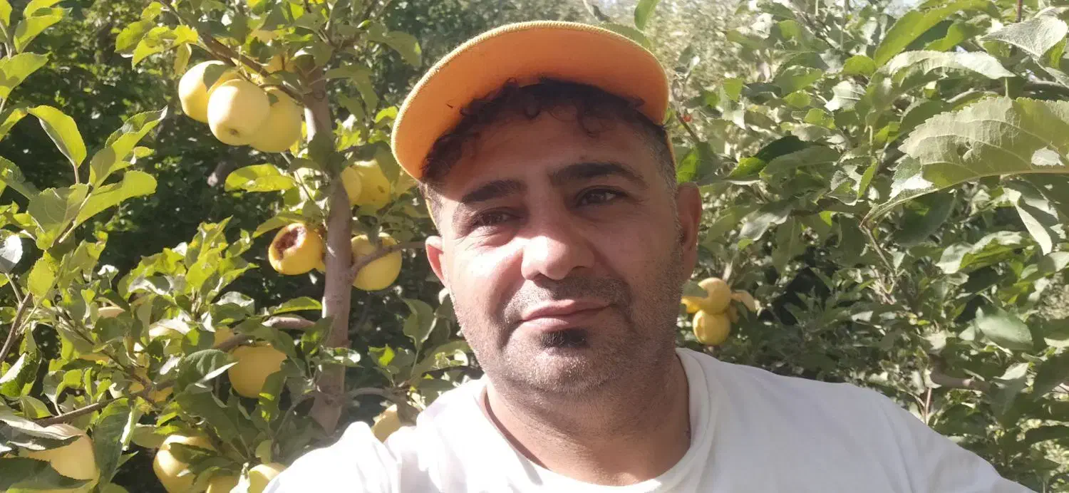 هرس درختان میوه وفرم دهی درختان غیره مثمر|خدمات باغبانی و درختکاری|اسلام‌شهر, مظفریه|دیوار