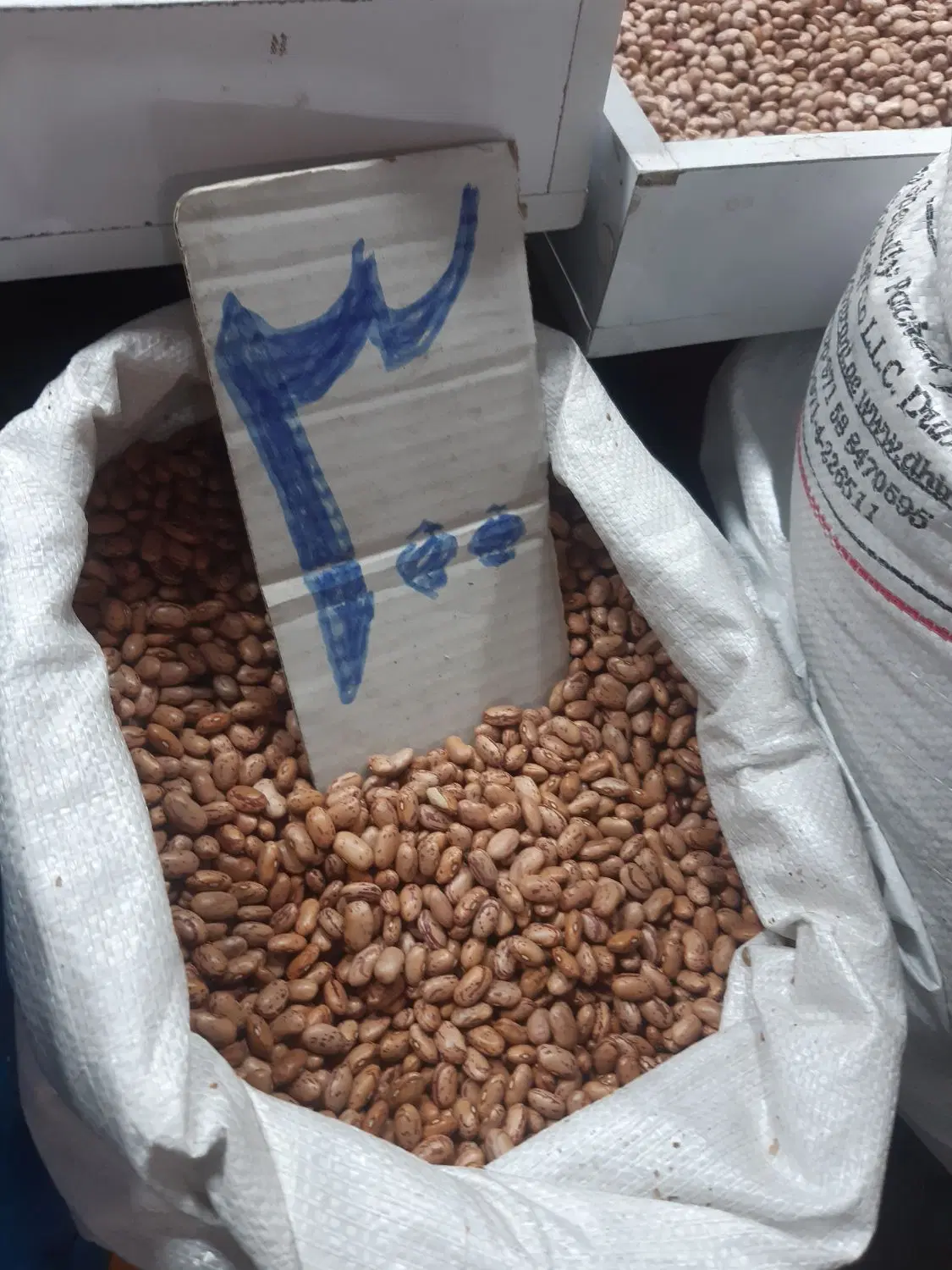 حبوبات|خوردنی و آشامیدنی|گلستان (تهران), |دیوار