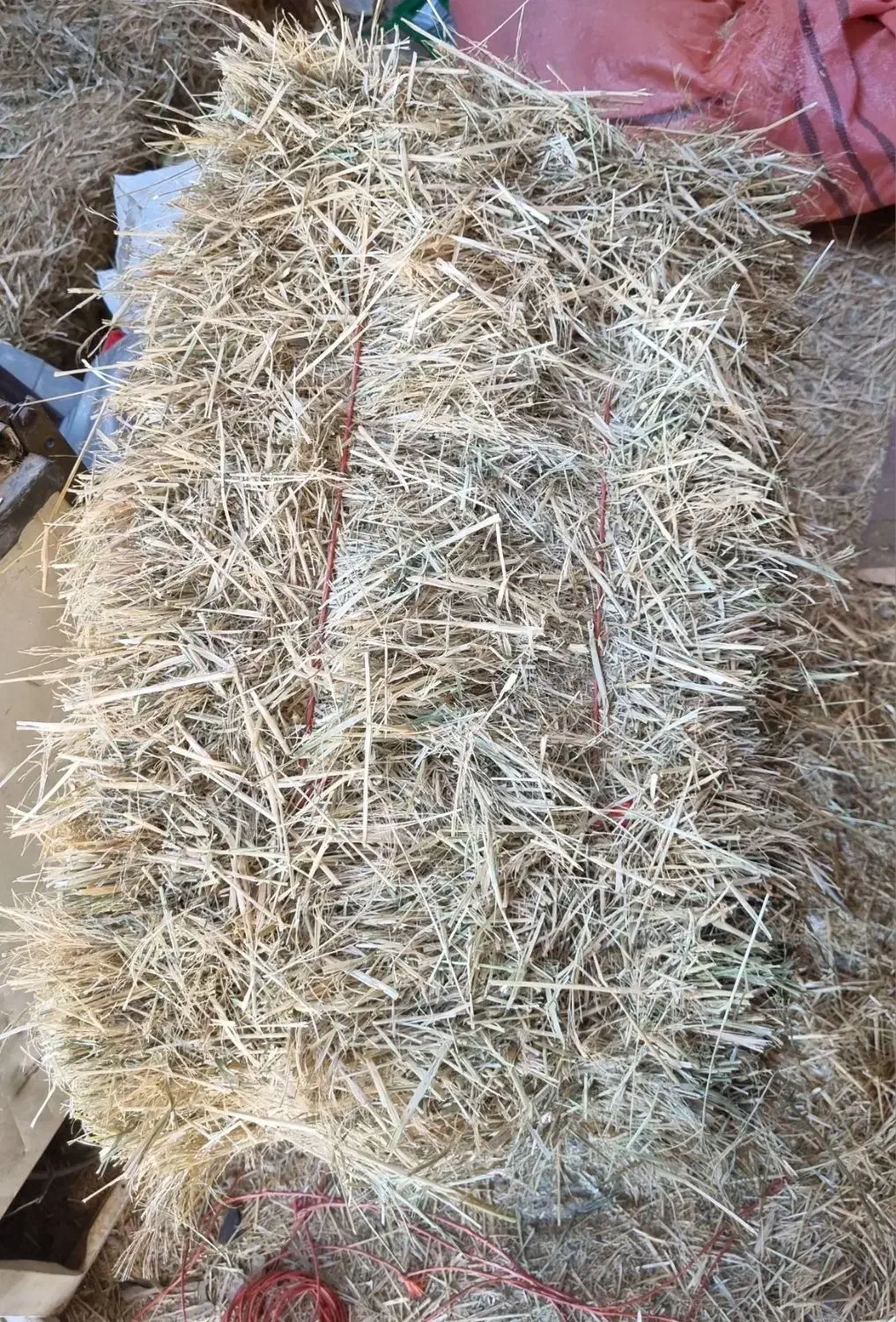 کاه پرس کاه ارزن (گاورس)|حیوانات مزرعه|جلگه ماژان, |دیوار