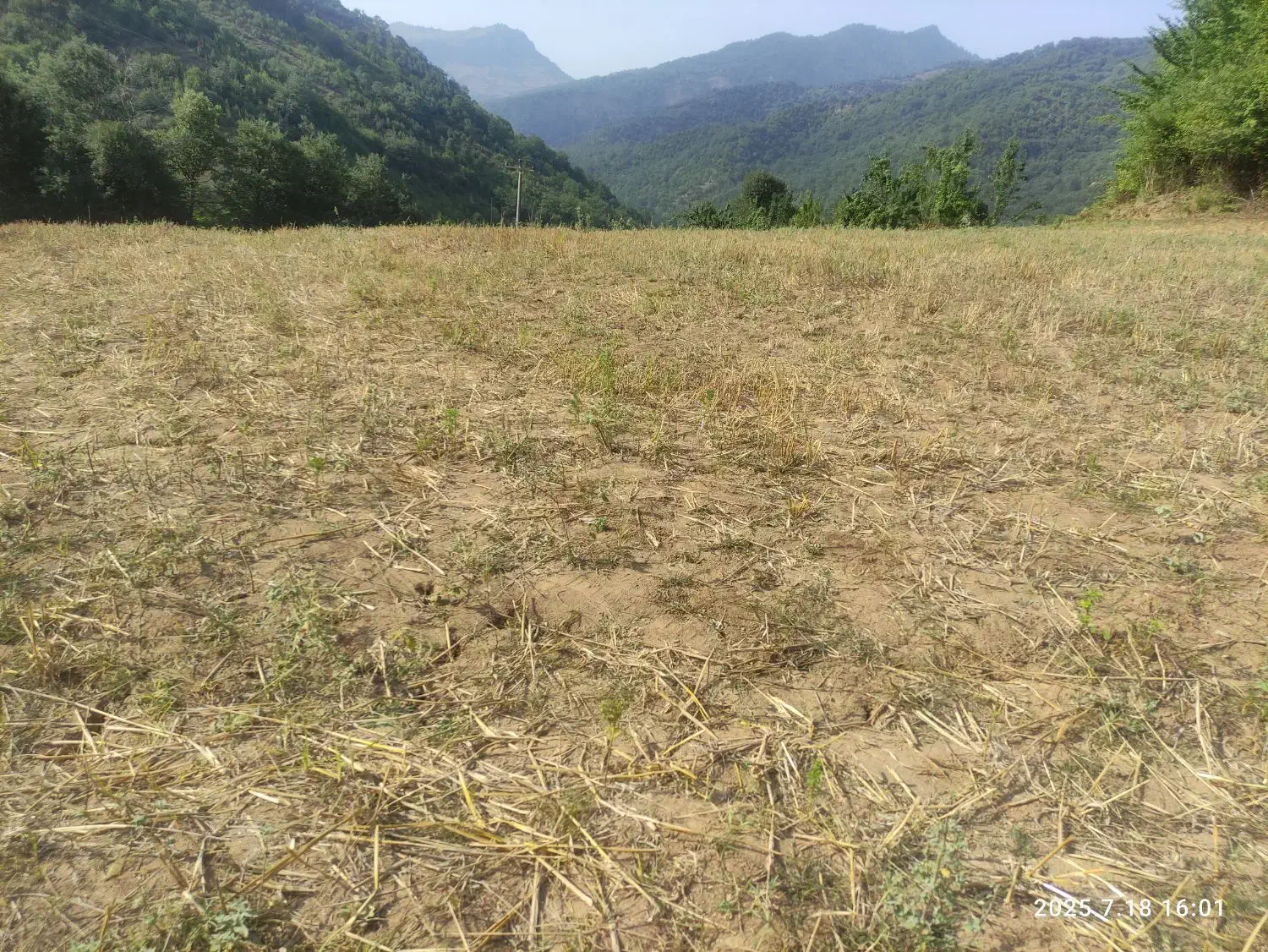 فروش زمین باغی در ریگ چشمه|فروش زمین و ملک کلنگی|مینودشت, |دیوار