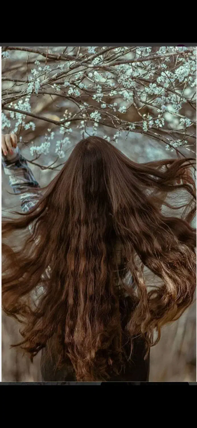 فروش مو خرید مو مو خریدار مو|آرایشی، بهداشتی، درمانی|خرمآباد, |دیوار