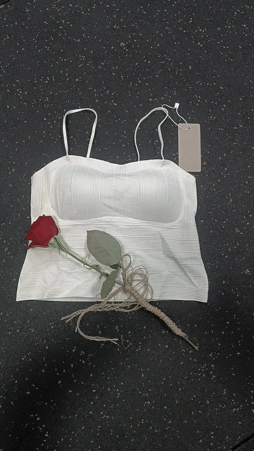 لباس باشگاهی|لباس|قم, باغ شریفی|دیوار