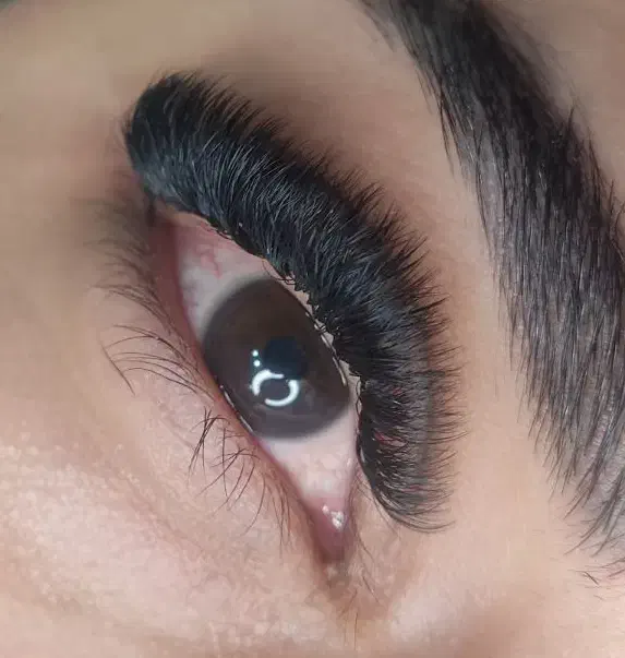 آموزش اکستنشن مژه به صورت حرفه ای صفر تا صد|خدمات آموزشی|شیراز, ابیوردی|دیوار