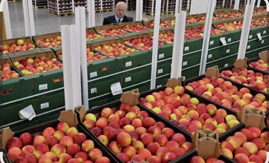 استخدام خانم در سورتینگ|استخدام خدمات فروشگاه و رستوران|مهاباد (آذربایجان غربی), |دیوار