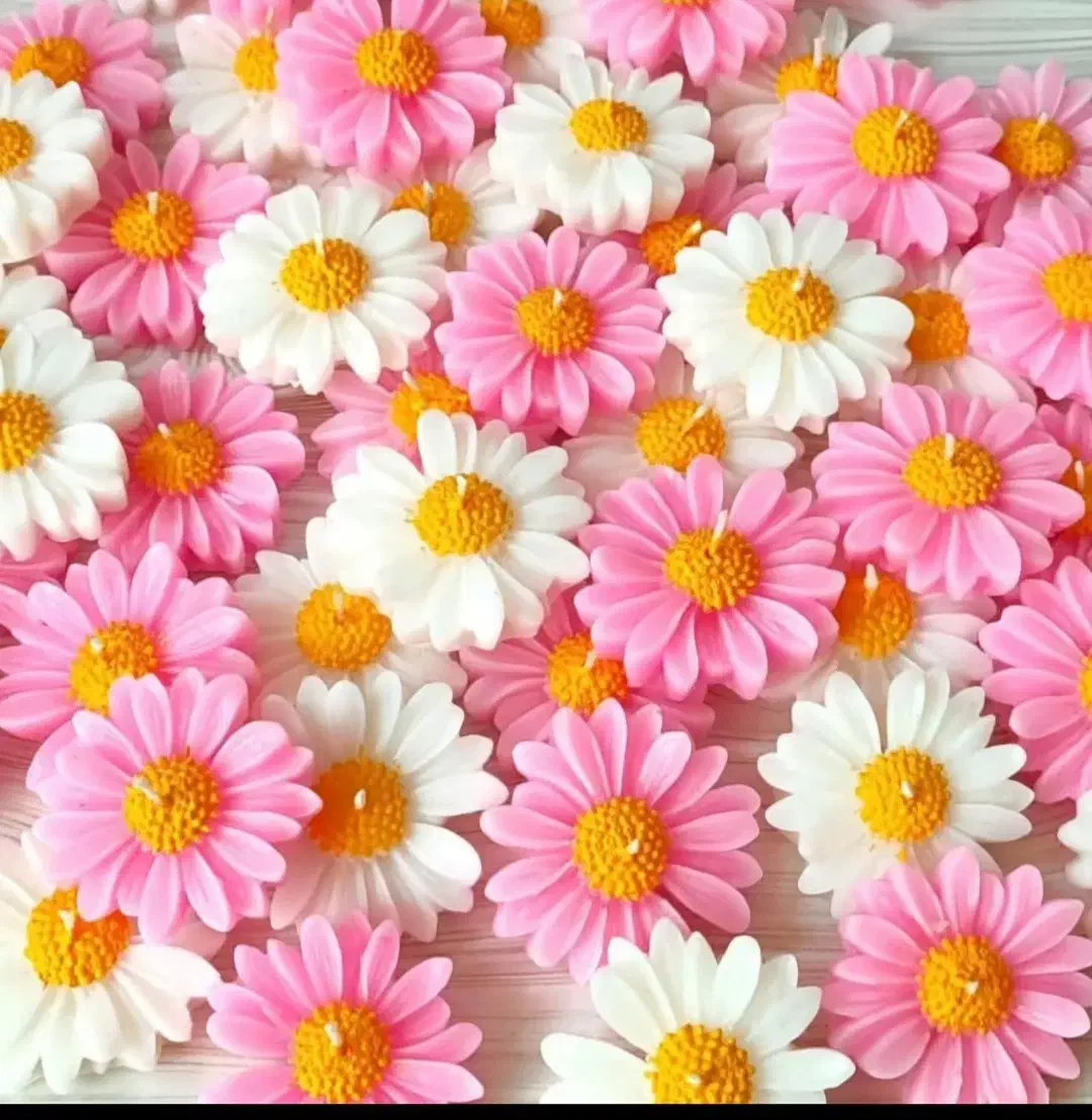 گیفت|صنایع دستی و سایر لوازم تزئینی|زنجان, |دیوار