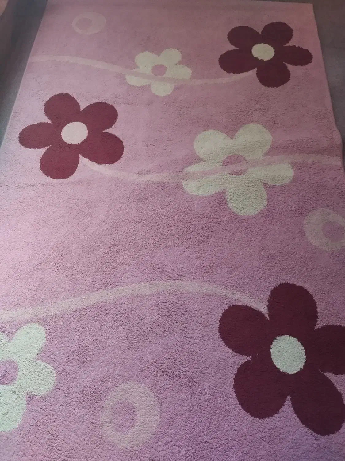 فرش|فرش|شاهینشهر, نبوت|دیوار