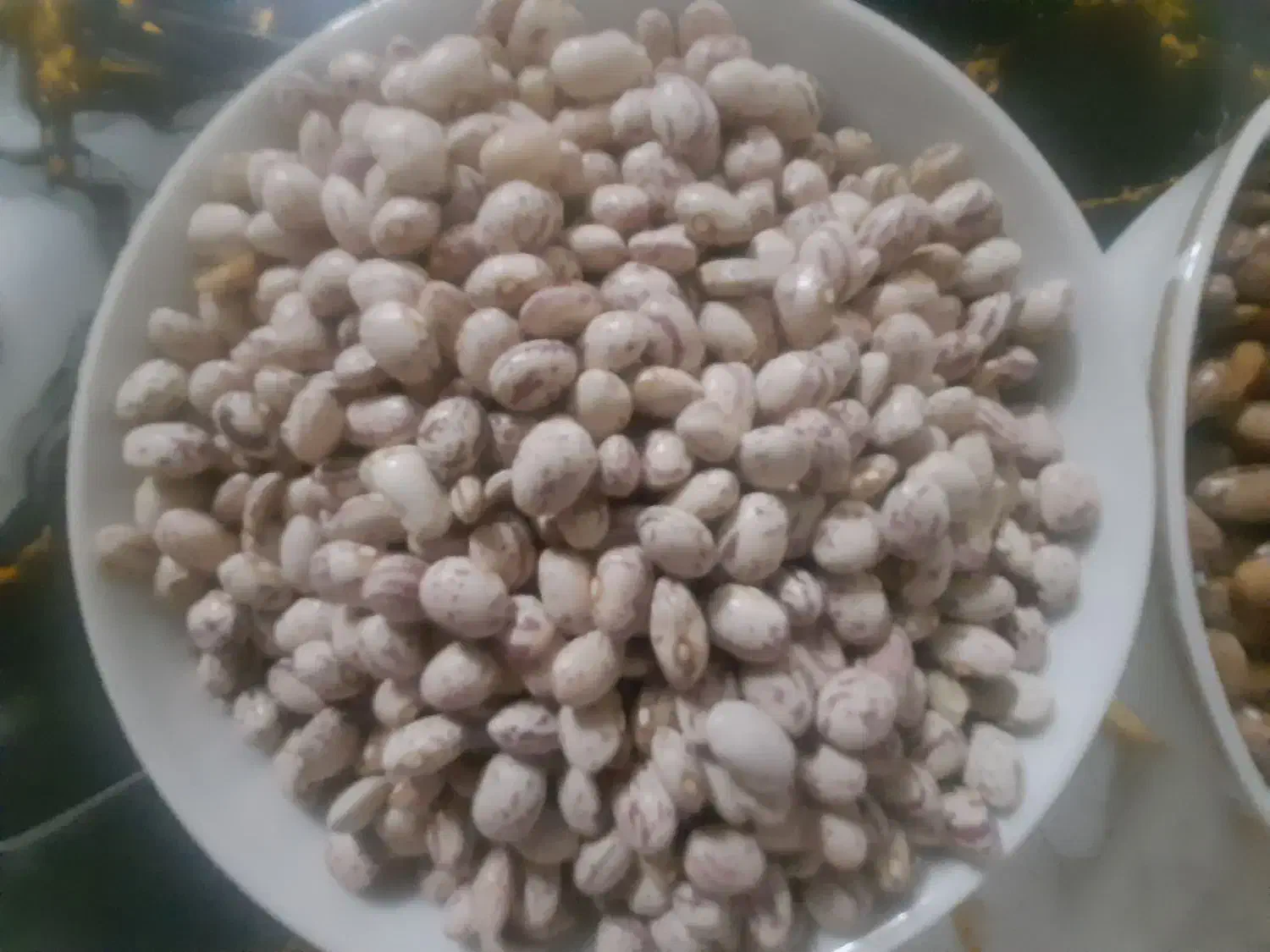 لوبیا|خوردنی و آشامیدنی|مشهد, علی آباد|دیوار