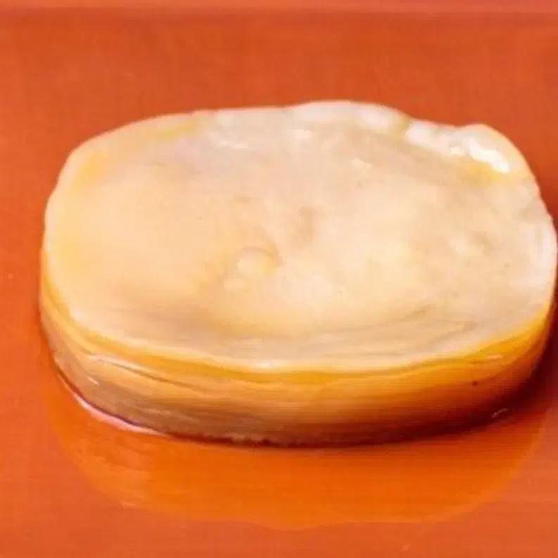 نوشیدنی و قارچ کامبوجا|خوردنی و آشامیدنی|تهران, شهرک آپادانا|دیوار