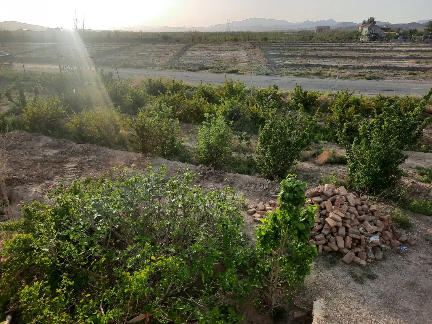 تصویر 5