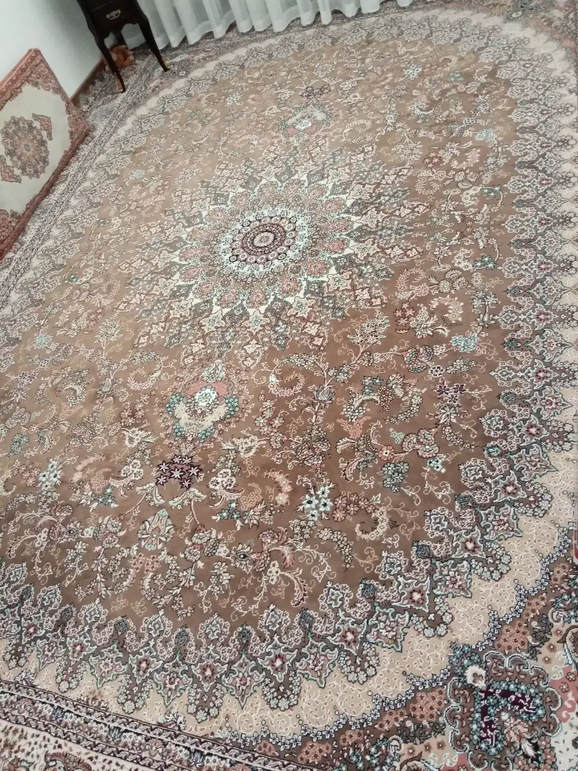 فرش گردویی۱۲متری|فرش|بیرجند, |دیوار