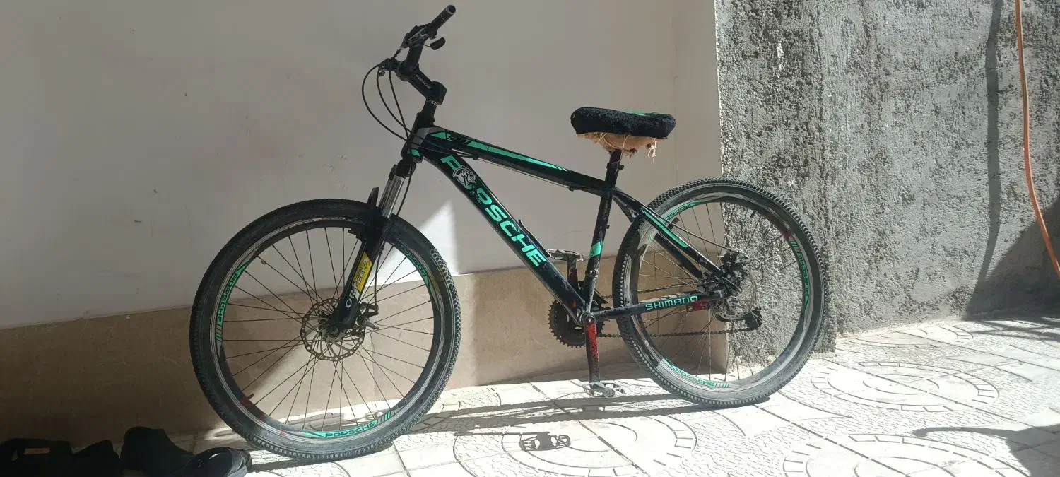 دوچرخه معاوضه با خروس لاری|دوچرخه، اسکیت، اسکوتر|مشگین شهر, |دیوار