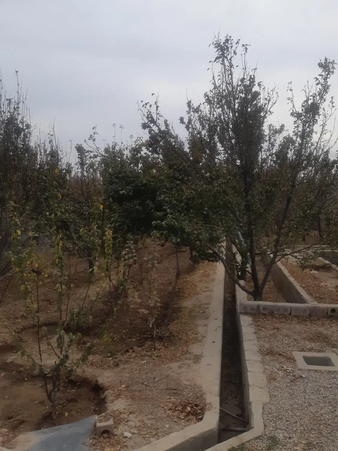 باغ اجاره ای|اجارهٔ کوتاهمدت ویلا و باغ|خمینیشهر, |دیوار